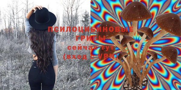 первитин Балахна