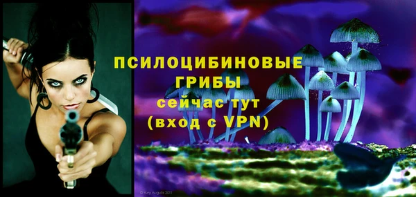 первитин Балахна